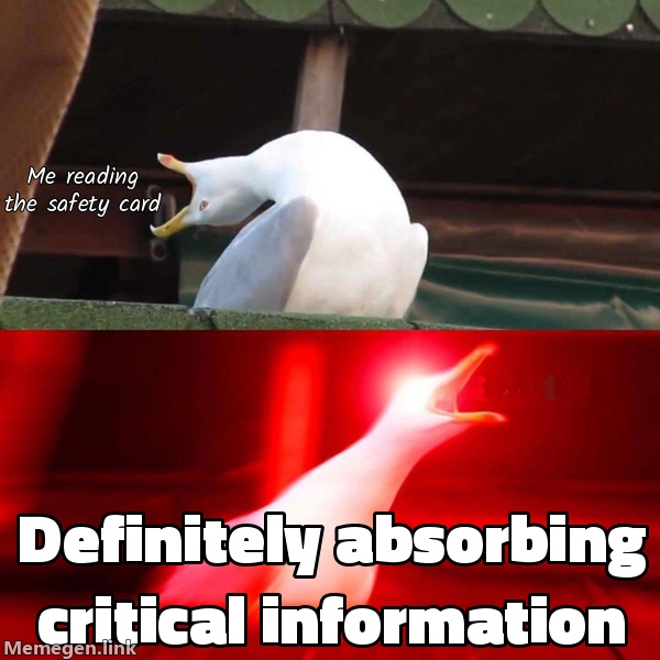 Me reading the safety card / Definitely absorbing critical information